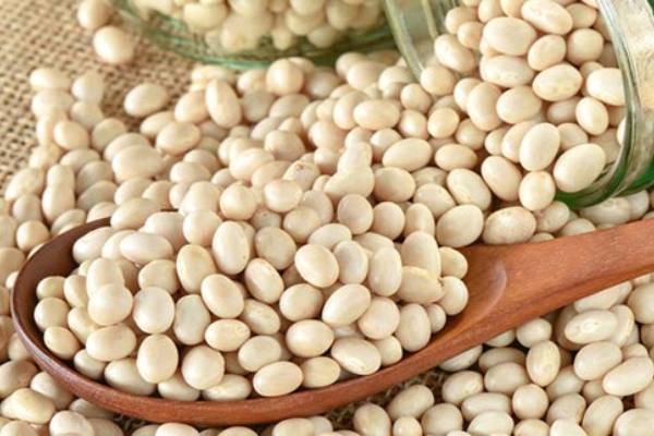 قیمت لوبیا چیتی سفید با کیفیت ارزان + خرید عمده